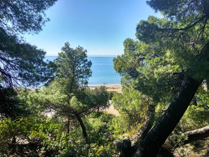Stefiniki Apartment Psakoudia Bagian luar foto