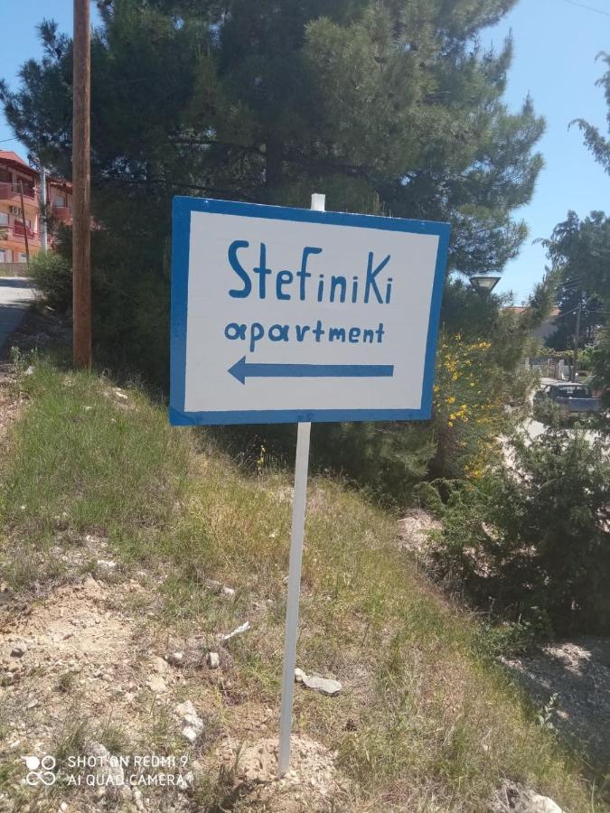 Stefiniki Apartment Psakoudia Bagian luar foto